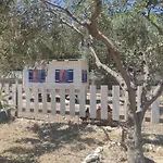 Konukevi Le Grand Bleu 4*