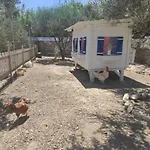 Casa de hóspedes Le Grand Bleu 4*