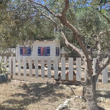 Casa de hóspedes Le Grand Bleu 4*