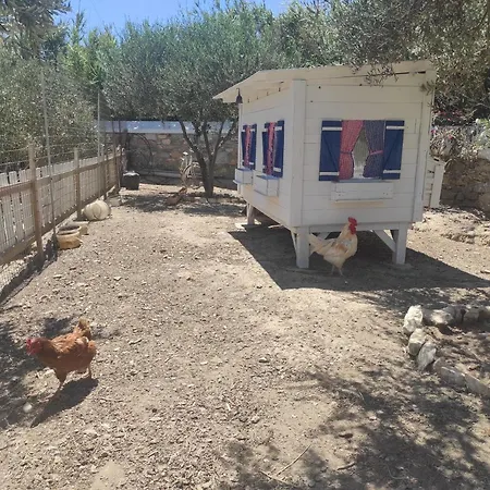 Гостевой дом Le Grand Bleu 4*