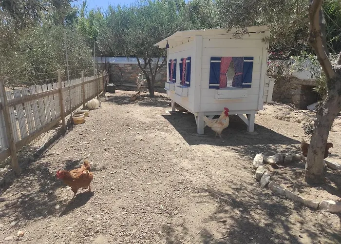 Gasthuis Le Grand Bleu 4*